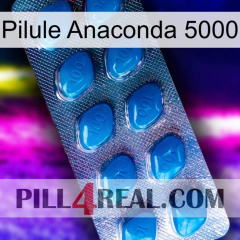 Anaconda 5000 Pill viagra1